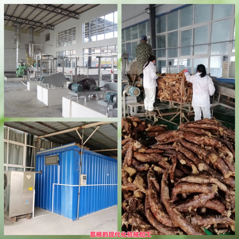 1766912552562256.jpg 葛根的現(xiàn)代化機械加工.jpg