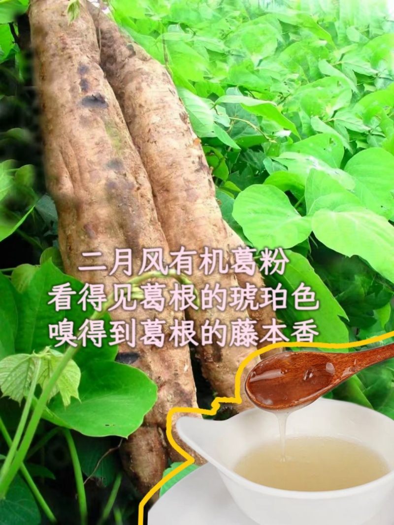 二月風(fēng)有機(jī)葛粉，看得見葛根的琥珀色，嗅得到葛根的藤本香_800.jpg