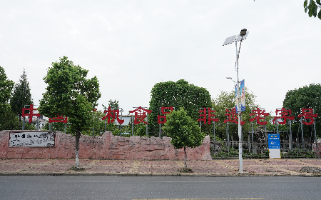 當(dāng)定制葛粉時(shí)，我們真正在選擇什么？