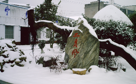 二月風(fēng)致老友：一碗葛根粉的牽掛，農(nóng)博會上的重逢之約二月風(fēng)盼老友：農(nóng)博會上，再續(xù)葛粉情緣